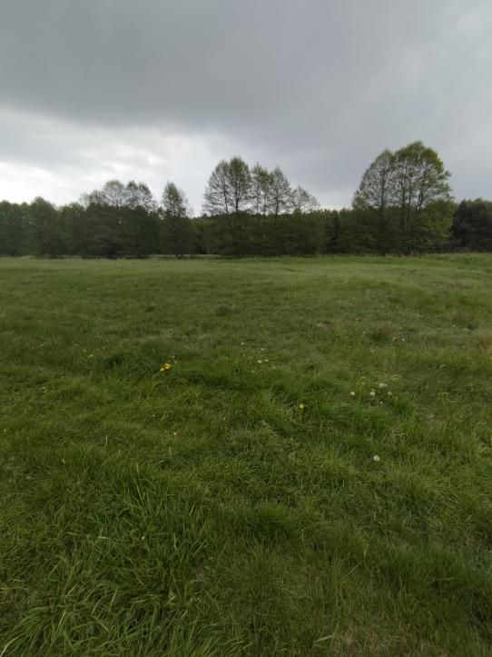 Działka rolno-budowlana Ciężkowiczki. Zdjęcie 5