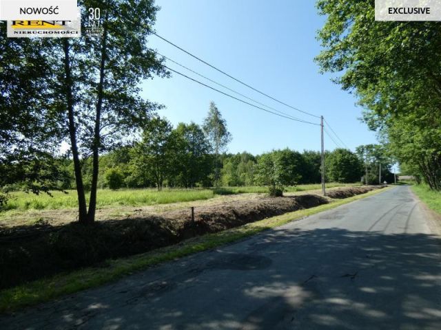 Działka budowlana Łoźnica. Zdjęcie 4