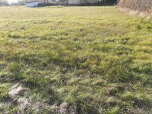 Działka rolno-budowlana Mokra Wieś Zalesie. Zdjęcie 2