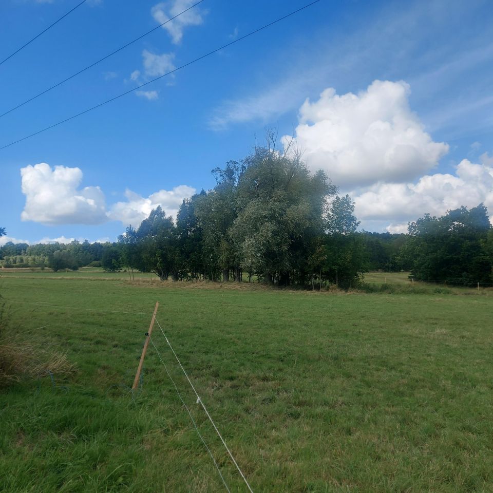 dom wolnostojący, 3 pokoje Proszowa. Zdjęcie 3