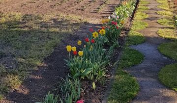 Działka rod Poznań Smochowice, ul. Gorajska