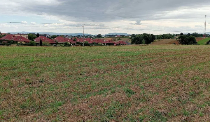 Działka budowlana Jastrzębie-Zdrój Zdrój, ul. Klubowa