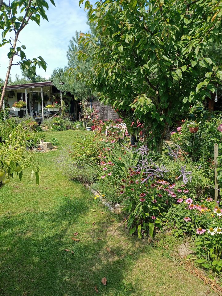 Działka rekreacyjna Wrocław Bierdzany, ul. Nizinna. Zdjęcie 30