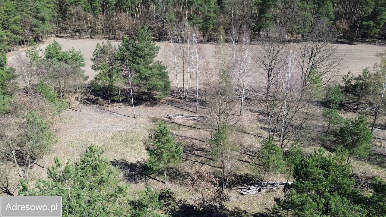 Działka budowlana Marynino. Zdjęcie 4