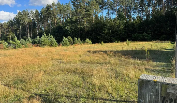 Działka budowlana Warszkowo