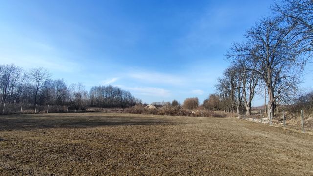 Działka budowlana Kaleń-Towarzystwo, ul. Długa. Zdjęcie 1