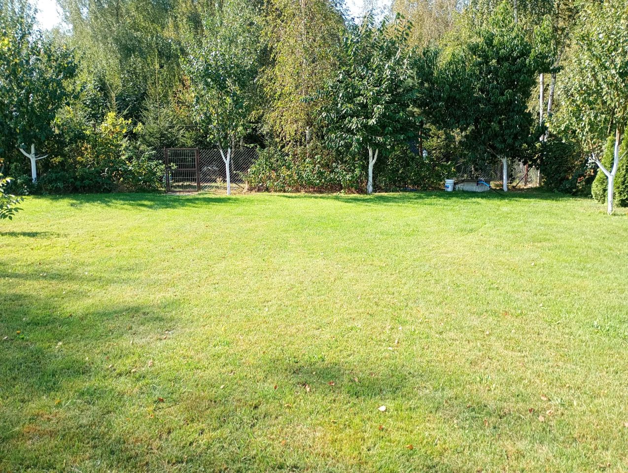 Działka budowlana Gosławice Zalesie