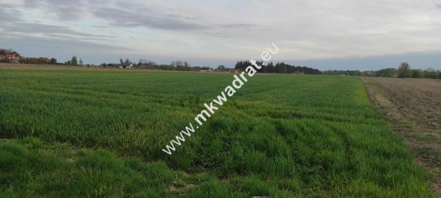 Działka budowlana Pasikonie. Zdjęcie 8