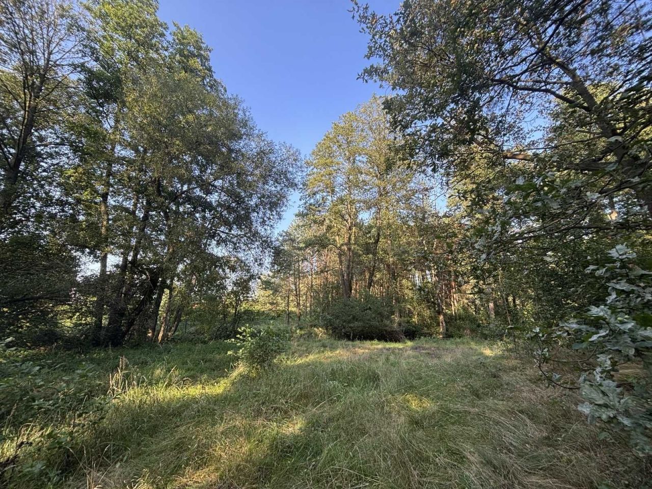 Działka budowlana Rudnik Wielki, ul. Nowa. Zdjęcie 8