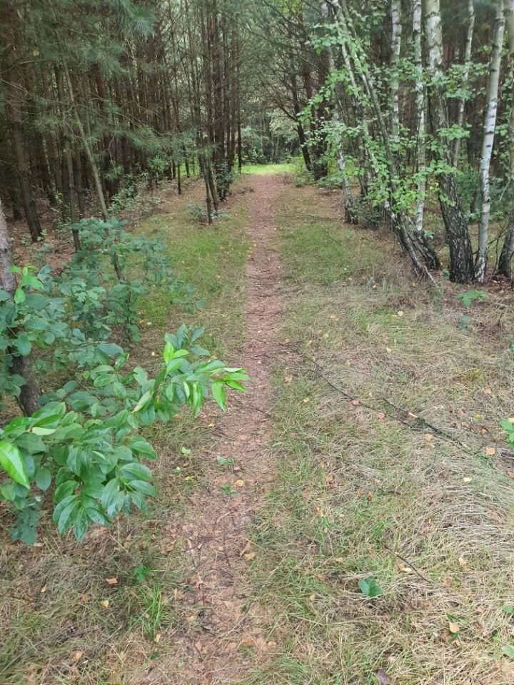 dom wolnostojący Czarna. Zdjęcie 7