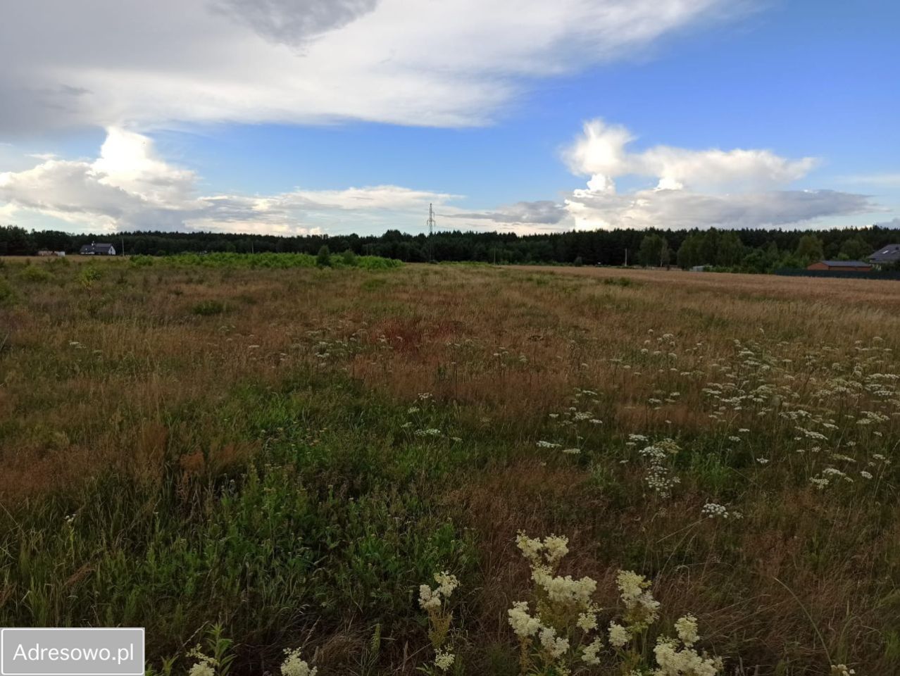 Działka budowlana Kamieńczyk. Zdjęcie 3