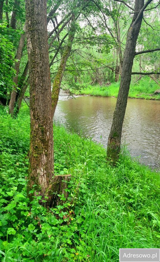 Działka rolno-budowlana Długopole Górne. Zdjęcie 8