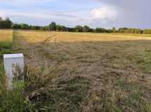 Działka rolno-budowlana Orliska. Zdjęcie 2