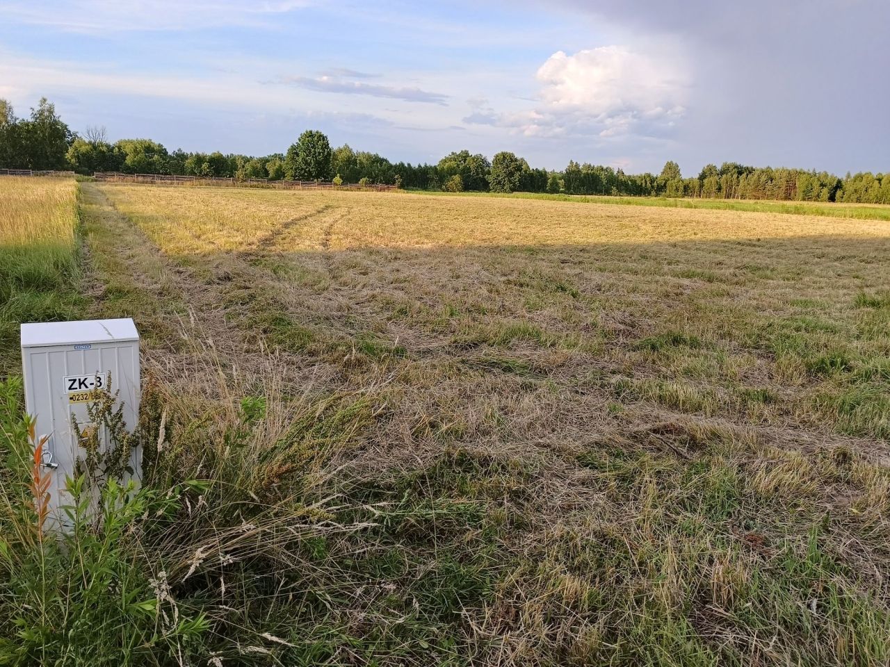 Działka rolno-budowlana Orliska. Zdjęcie 3