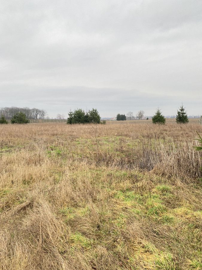 Działka rolno-budowlana Janów. Zdjęcie 3