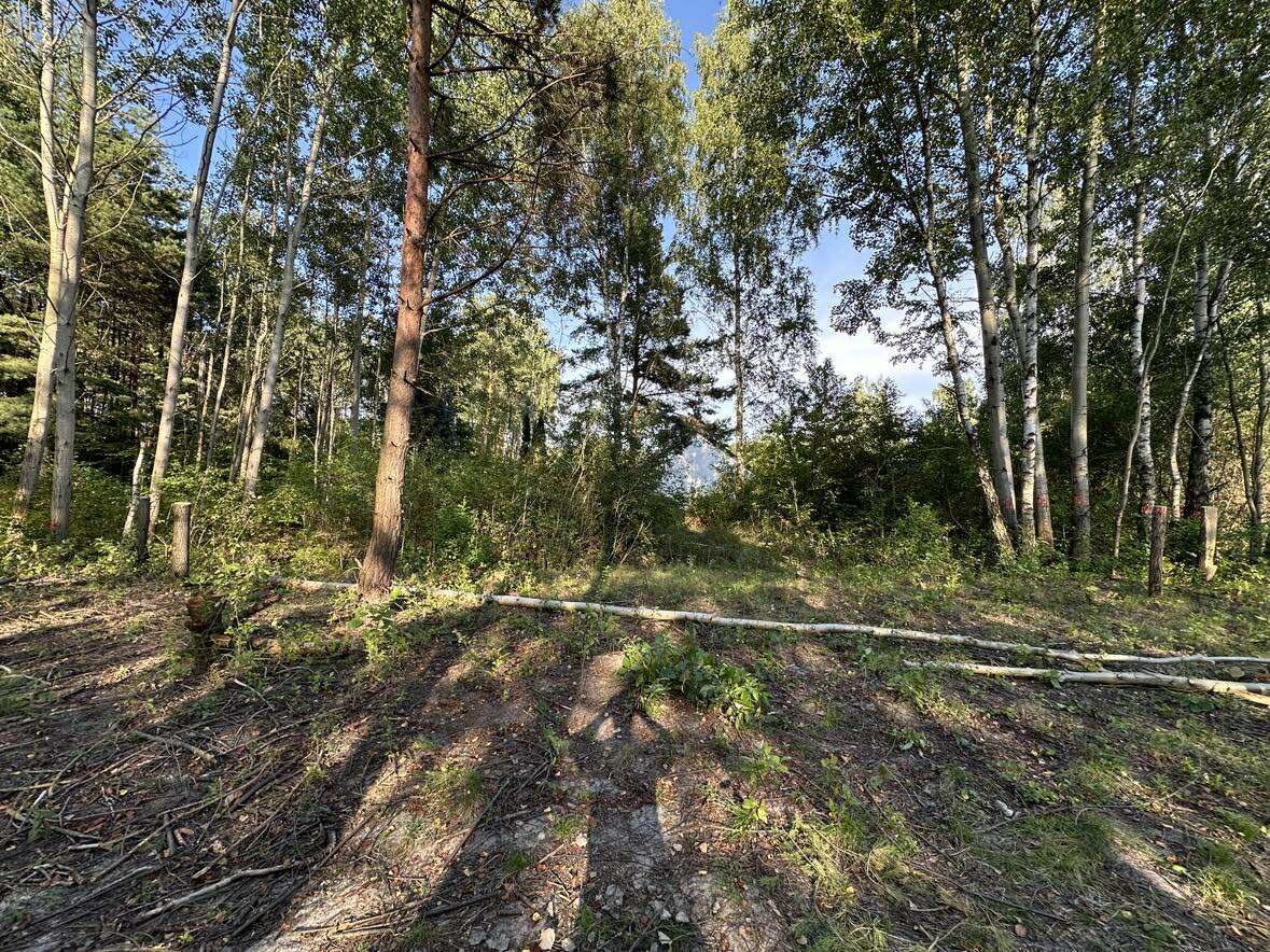 Działka rolno-budowlana Huta Dłutowska Kapkazy, ul. Kapkazy. Zdjęcie 4