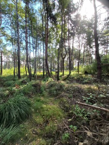 Działka budowlana Borzęcin. Zdjęcie 1