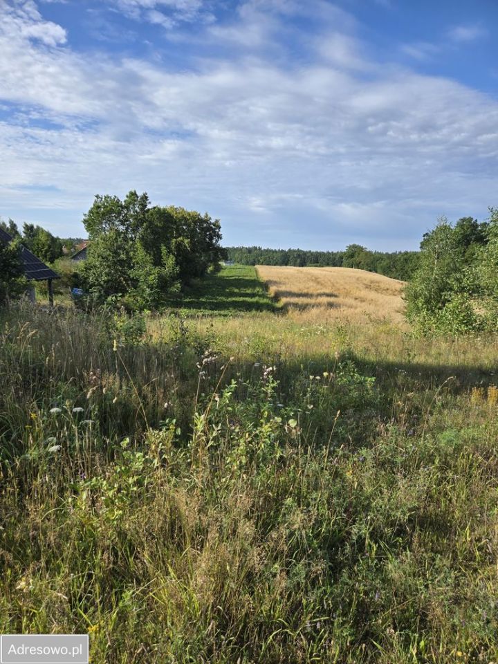 Działka budowlana Skrzeszewo. Zdjęcie 4