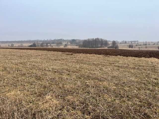 Działka budowlana Rzeniszów, ul. ks. Stanisława Zapałowskiego. Zdjęcie 6