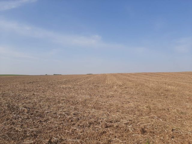 Działka rolna Gałdowo. Zdjęcie 1