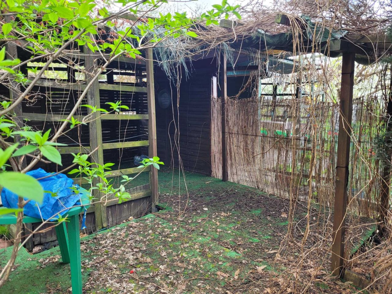 Działka rod Wrocław Partynice, ul. Ołtaszyńska. Zdjęcie 6