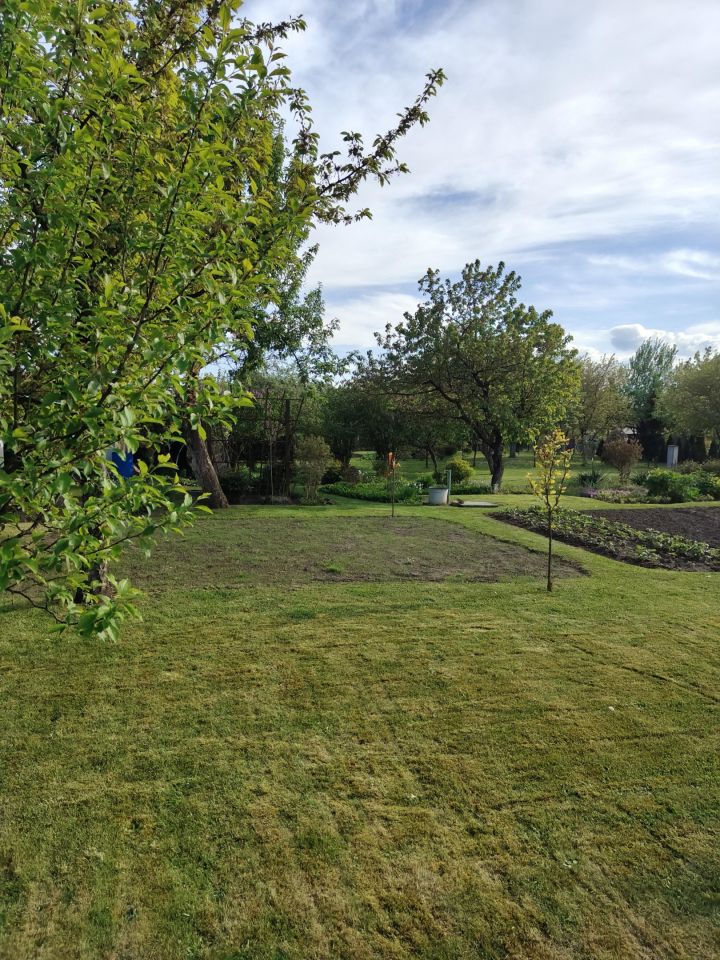 Działka rod Zawiercie, ul. Kresowa. Zdjęcie 9