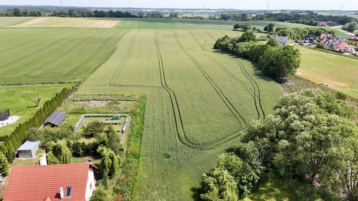 Działka rolna Smętowo Graniczne. Zdjęcie 5