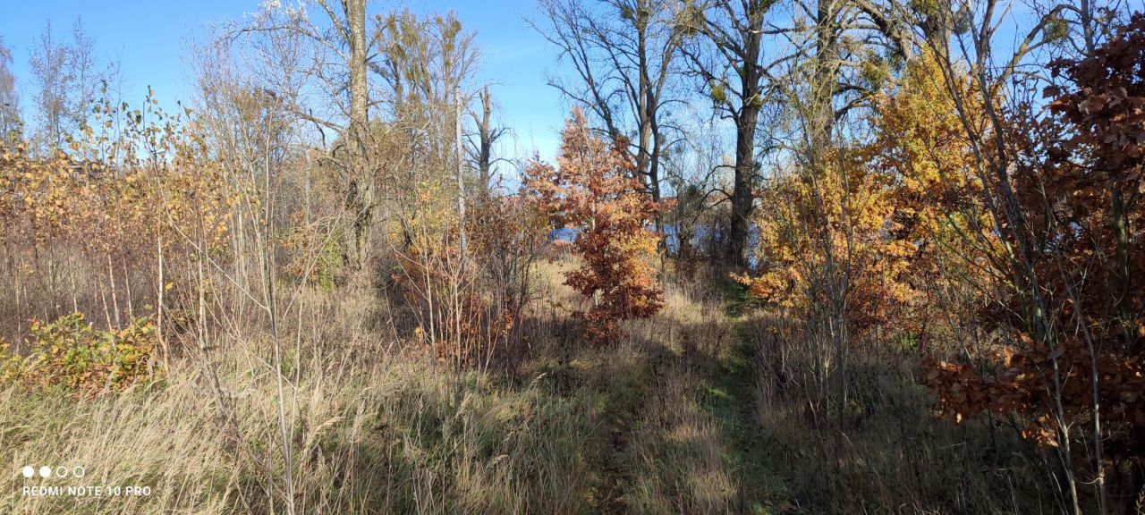 Działka budowlana Lipiany, ul. Małcz. Zdjęcie 4