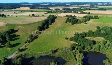 Działka siedliskowa Dębowy Gaj