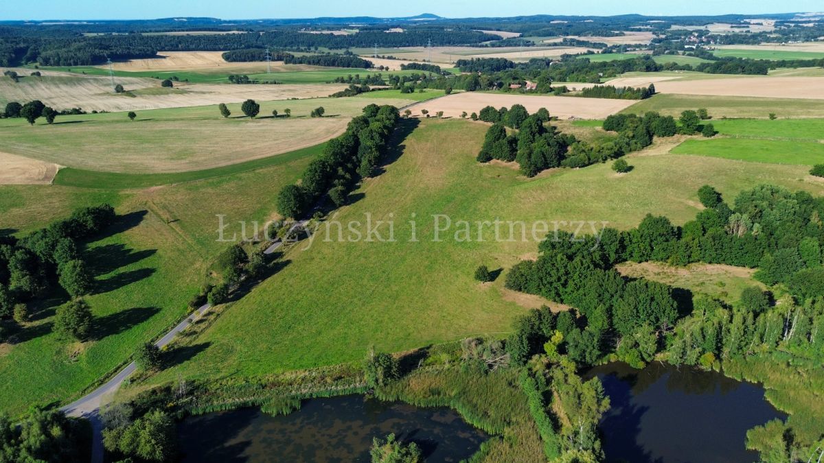 Działka siedliskowa Dębowy Gaj. Zdjęcie 2
