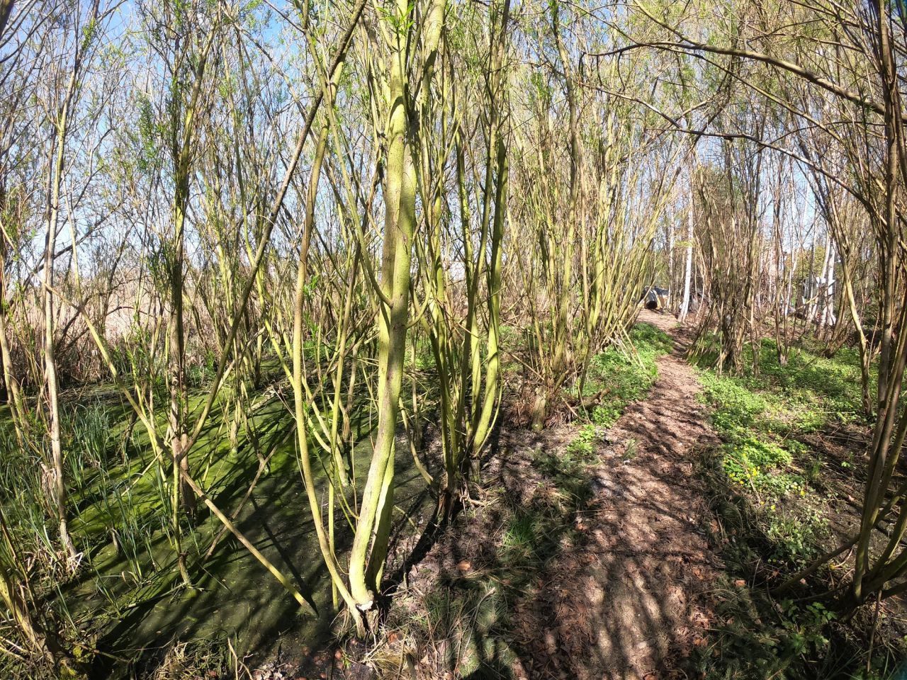 dom wolnostojący, 5 pokoi Sadów Kopce, ul. Powstańców Śląskich. Zdjęcie 29