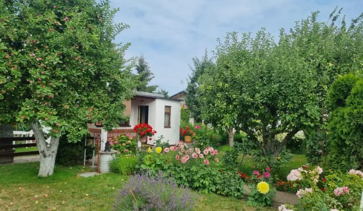 Działka rod Poznań Smochowice, ul. Gorajska
