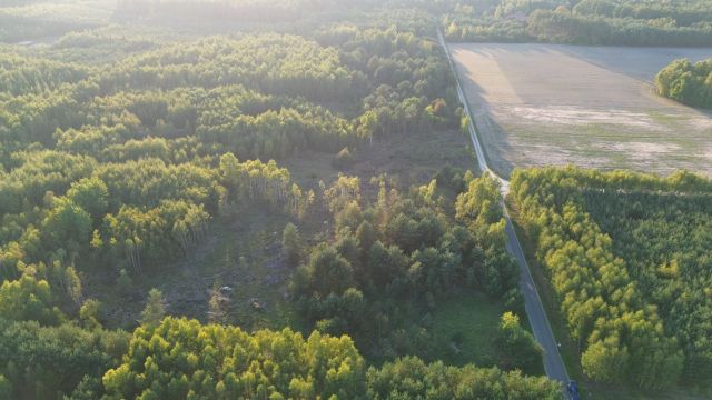 Działka rolno-budowlana Boguchwała. Zdjęcie 43