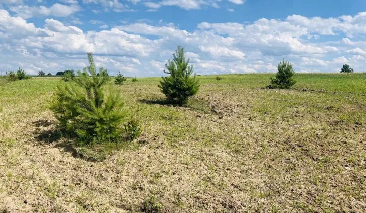 Działka budowlana Radzynek