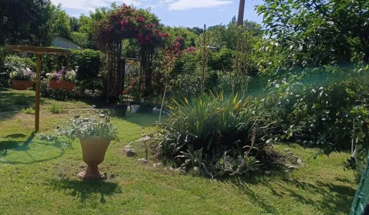 Działka rod Nysa, ul. Jana Zamoyskiego