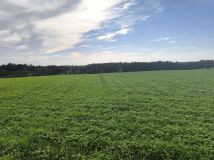 Działka budowlana Nowy Podleś. Zdjęcie 4