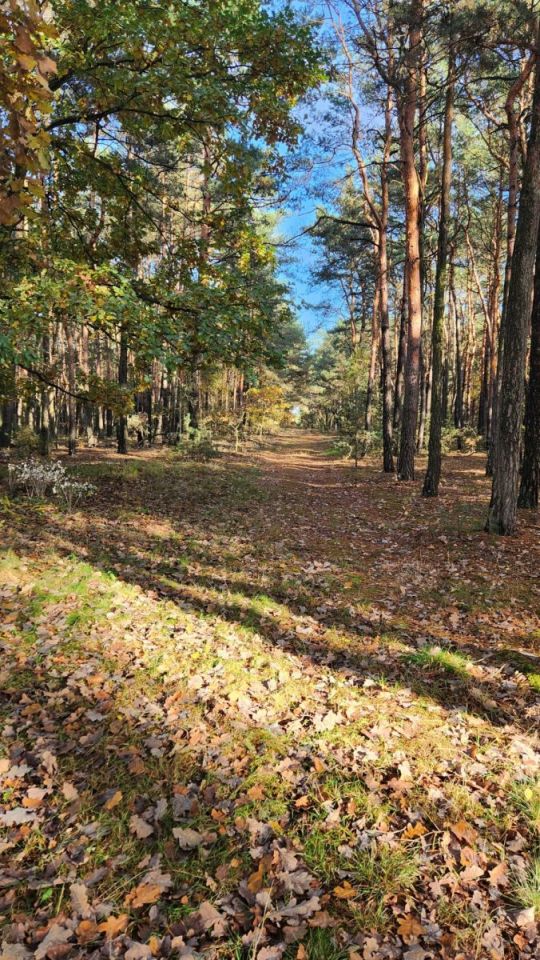 Działka budowlana Władysławów Bielawski. Zdjęcie 5