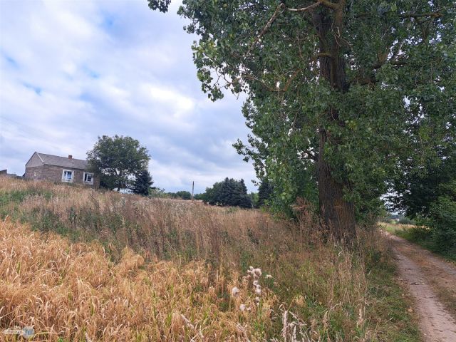 siedlisko, 2 pokoje Ożarów. Zdjęcie 14