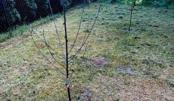 Działka rod Konstantynów Łódzki