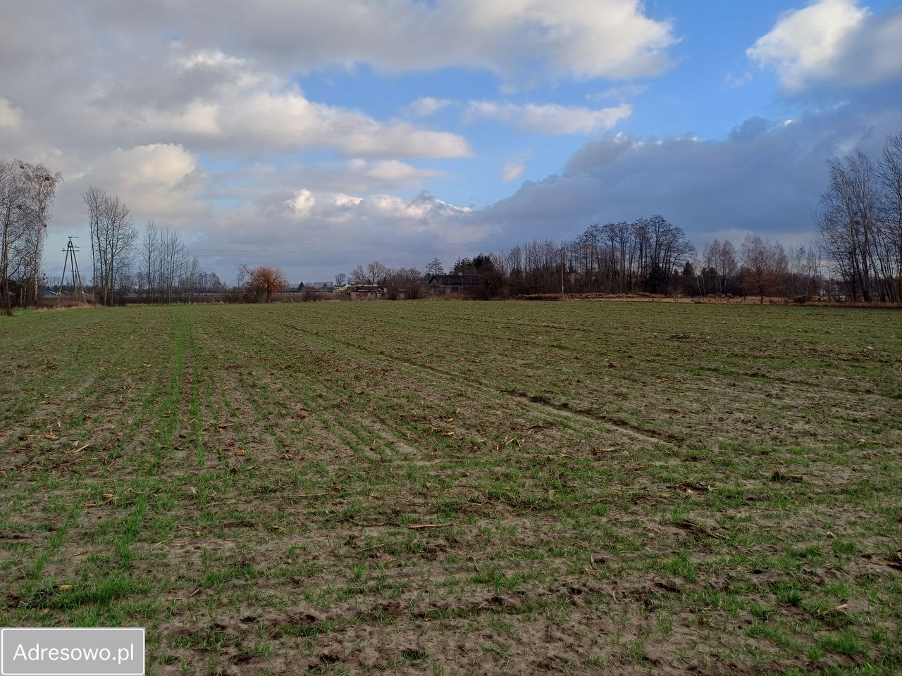 Działka rolna Kozery Nowe, ul. Popławska. Zdjęcie 19