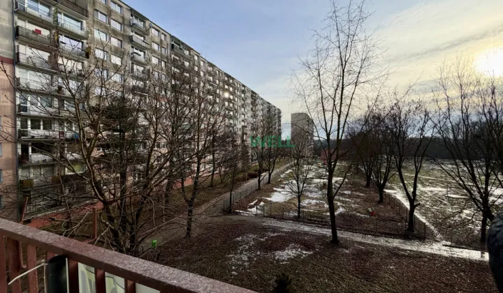 Mieszkanie 2-pokojowe Łódź Teofilów, ul. Aleksandrowska