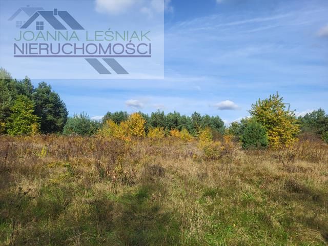 Działka budowlana Chechło. Zdjęcie 2