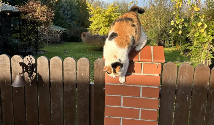 Działka rolno-budowlana Jerzyn