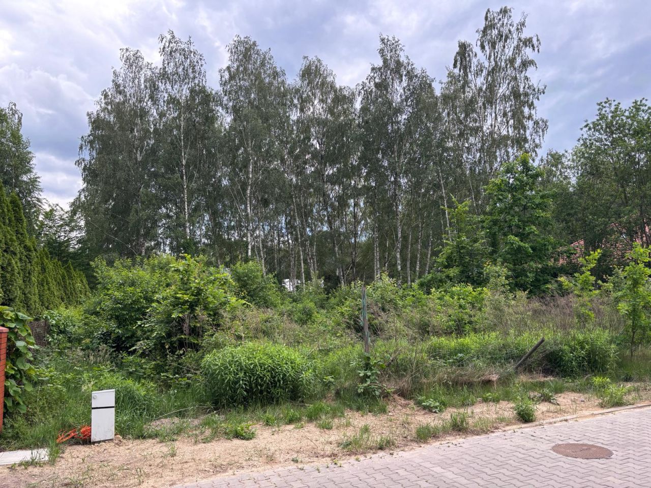Działka budowlana Osowiec, ul. Modrzewiowa. Zdjęcie 2