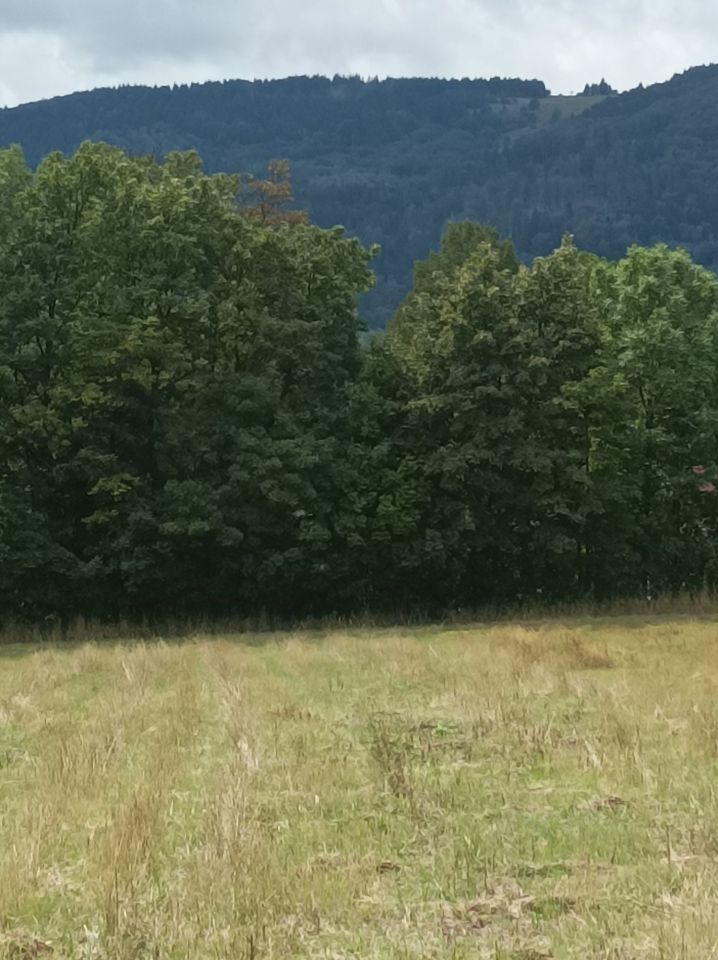 Działka budowlana Stara Łomnica. Zdjęcie 2