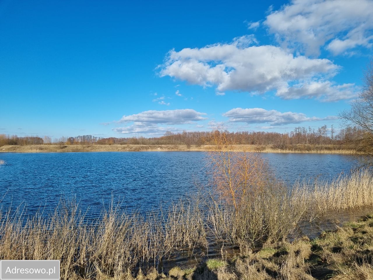 Działka Bilno. Zdjęcie 5