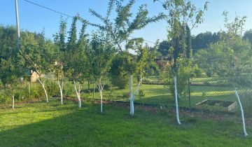 Działka rod Zielonka