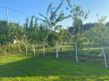 Działka rod Zielonka. Zdjęcie 1