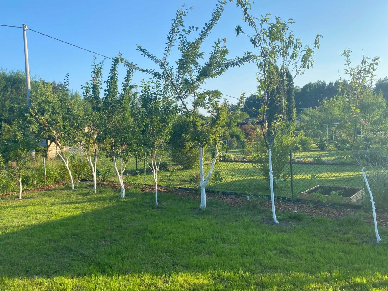 Działka rod Zielonka. Zdjęcie 2