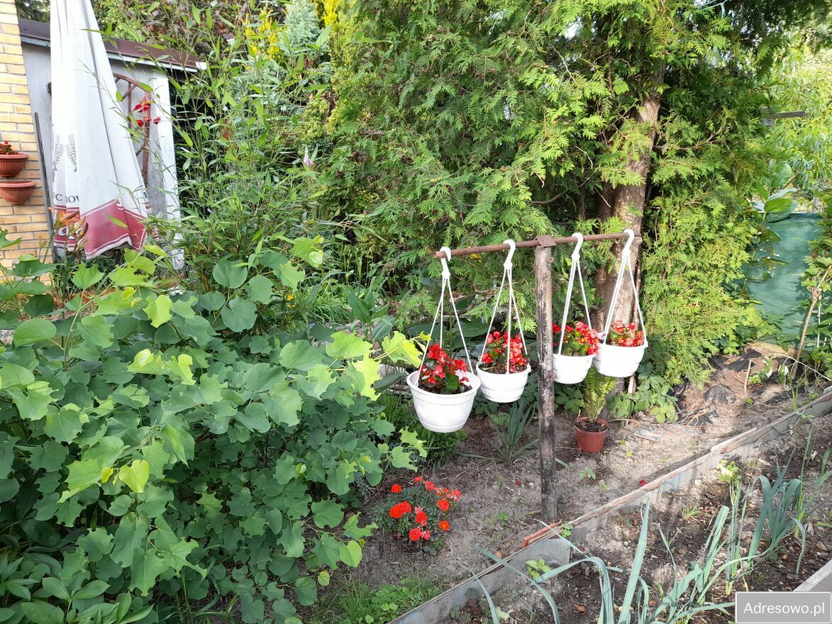 Działka rod Toruń Chełmińskie Przedmieście. Zdjęcie 9